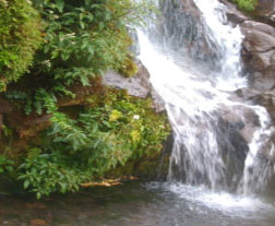waterfall-greenmoss
